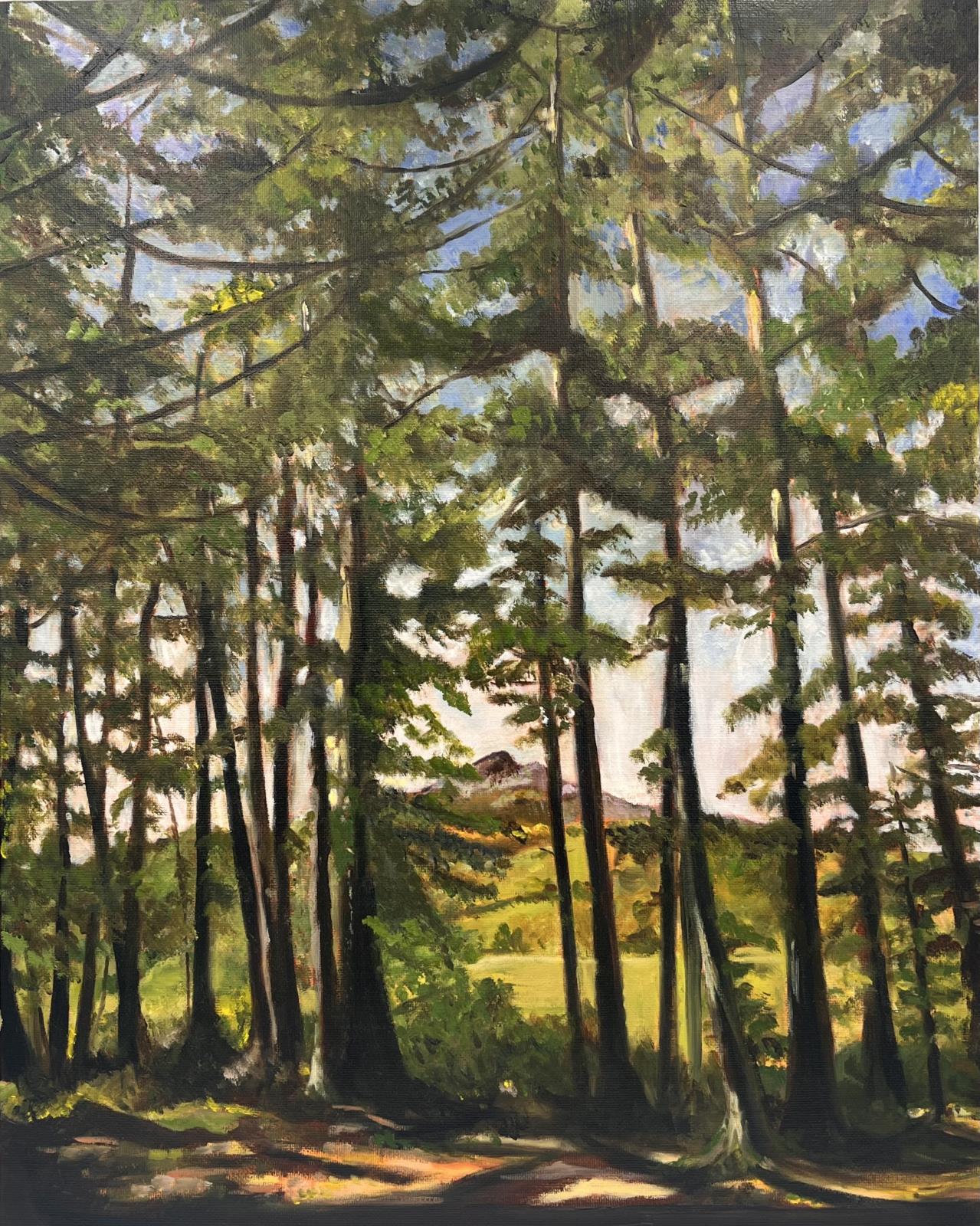 Sugarloaf from Kindlestown 